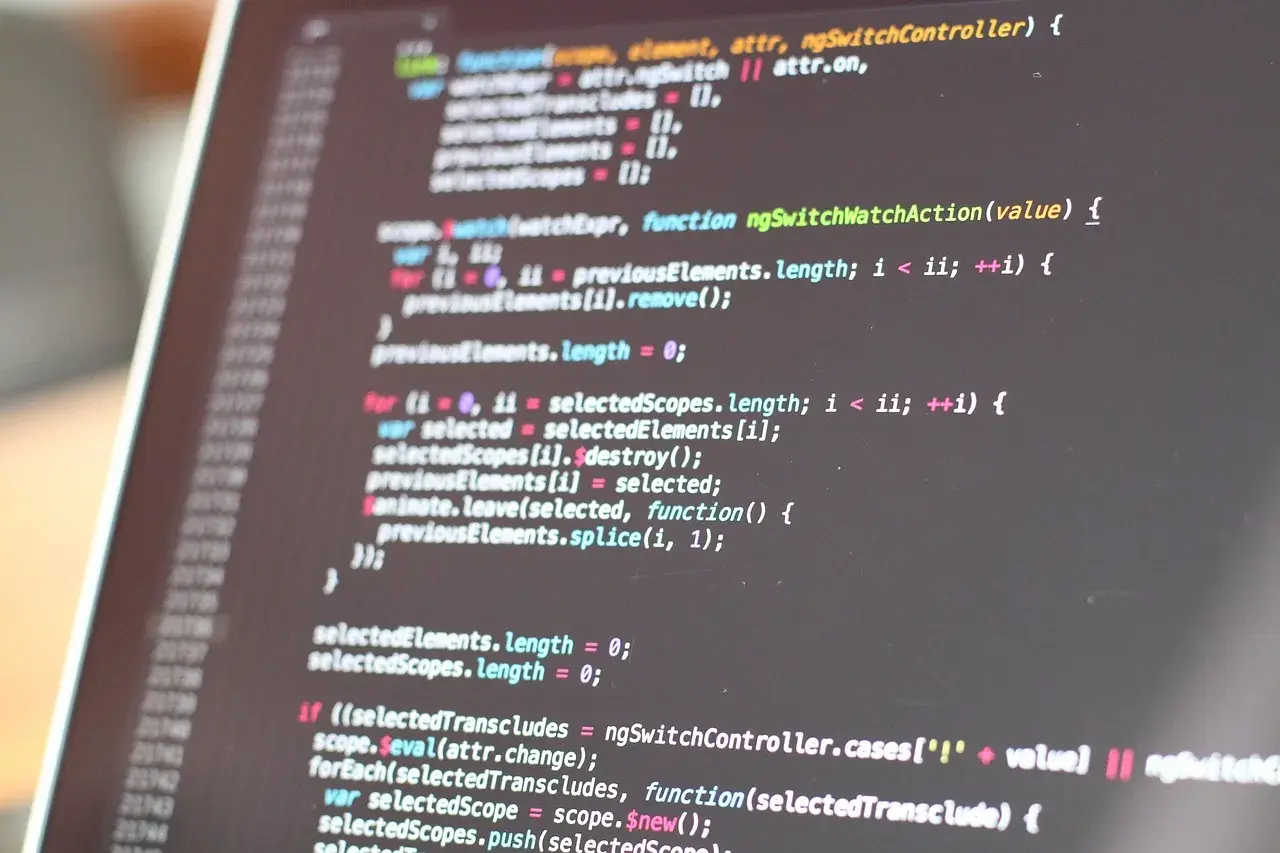 Kod źródłowy na ekranie, w tym fragmenty z `ngSwitchController`. Czy to kod, który wyjaśnia nginx co to?
