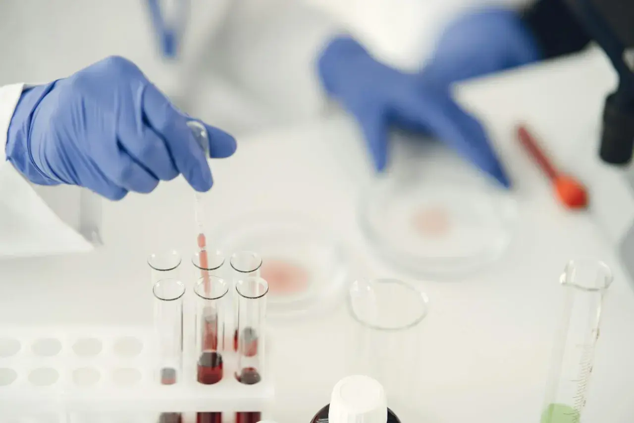 Badacz w niebieskich rękawiczkach pobiera próbkę krwi do analizy. Może to być związane z diagnostyką mykoplazma objawy.