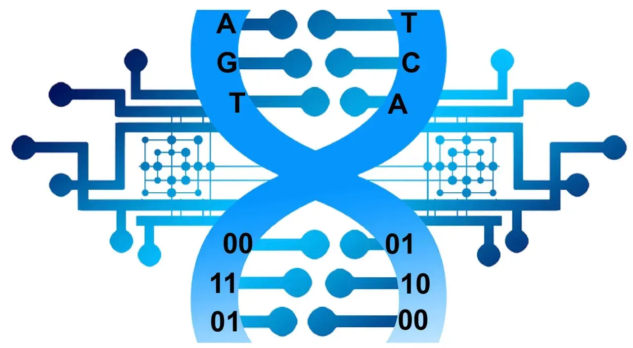 Die DNA-Doppelhelix wird mit digitalen Schaltkreisen und Binärcode dargestellt, was die Idee von DNA als Speichermedium veranschaulicht.