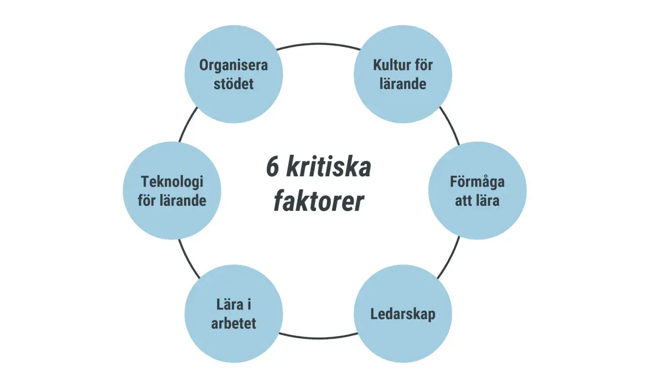 Diagrammet visar 6 kritiska faktorer för lärande: Kultur, Förmåga att lära, Ledarskap, Lära i arbetet, Teknologi och Organisera stödet. Dessa är viktiga ledord exempel för framgångsrik utveckling.