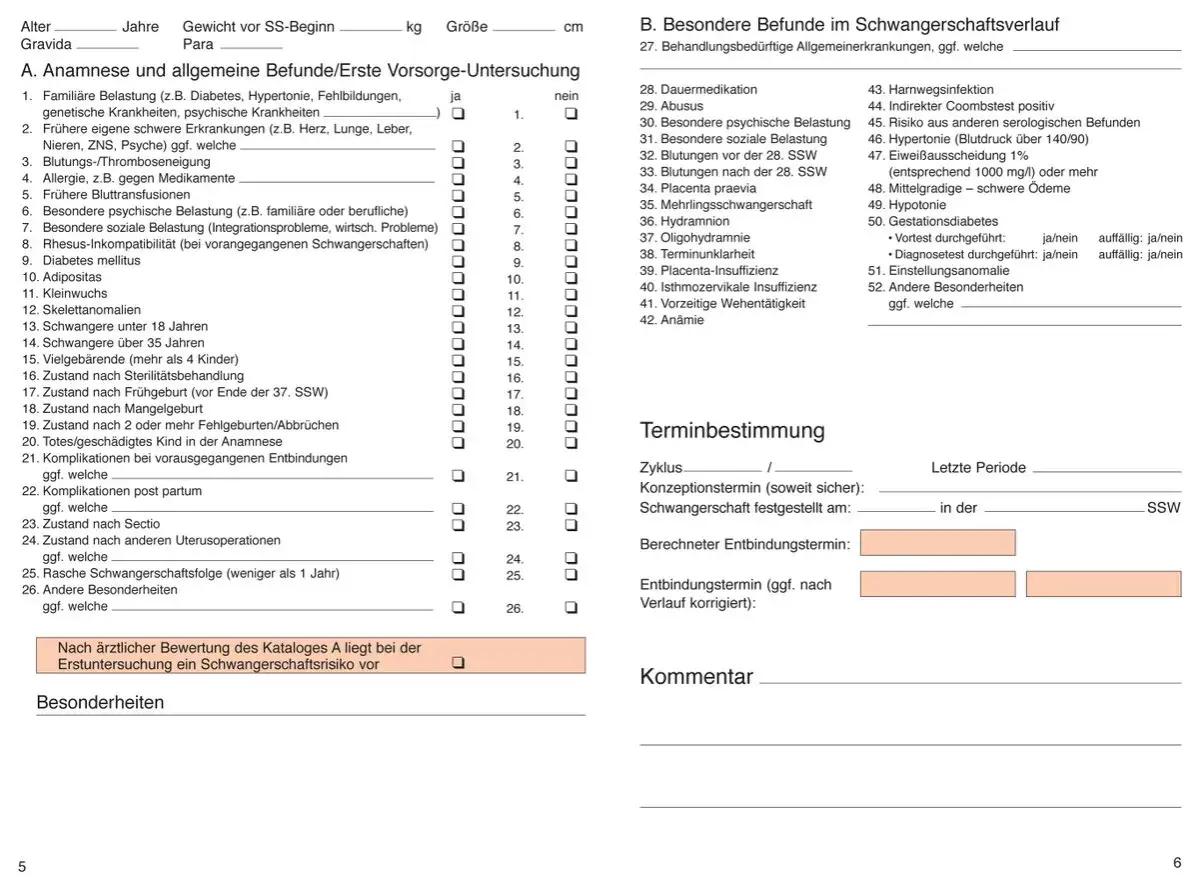 Formular zur Erfassung von Schwangerschaftsdaten, u.a. Anamnese und besondere Befunde im Schwangerschaftsverlauf.
