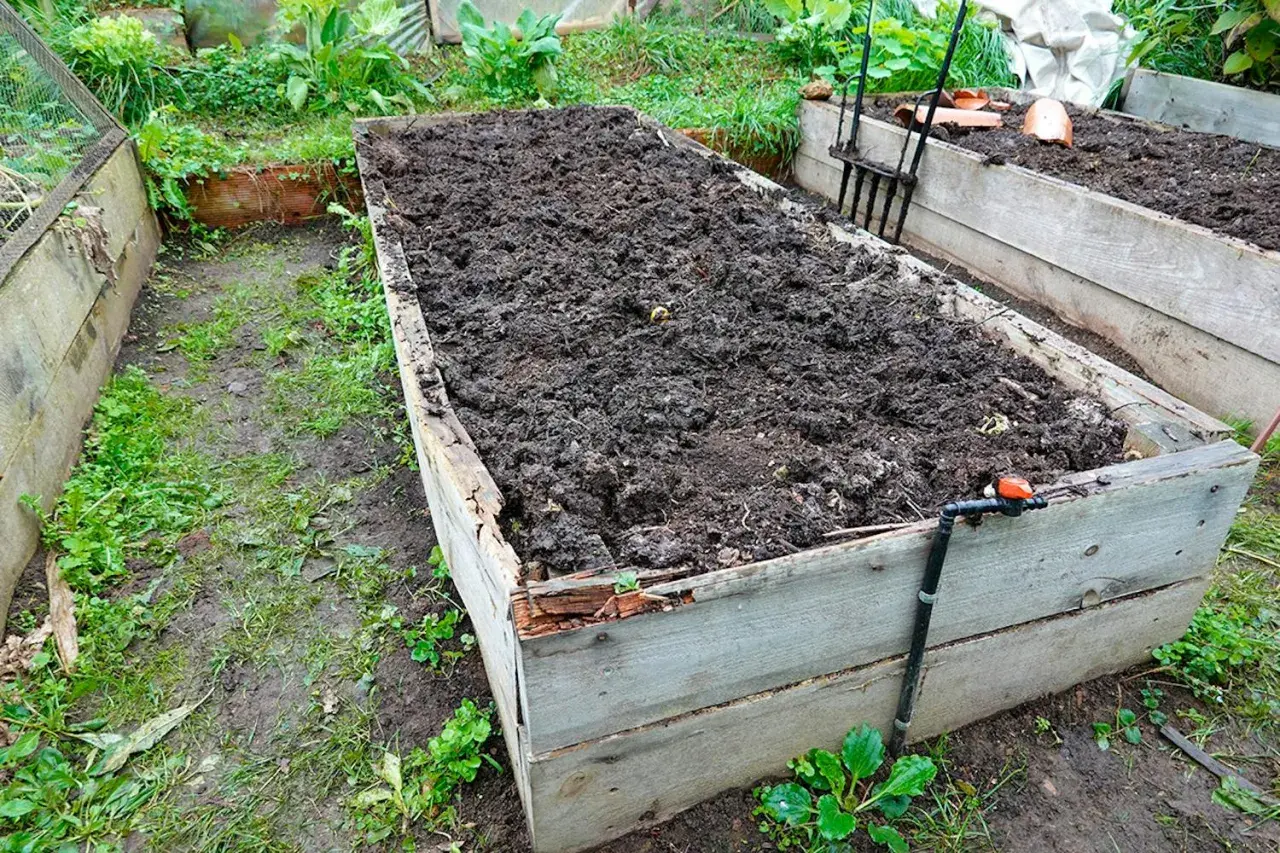 Upphöjd bädd med mörk, näringsrik jord, redo för plantering. En vattenslang är ansluten.