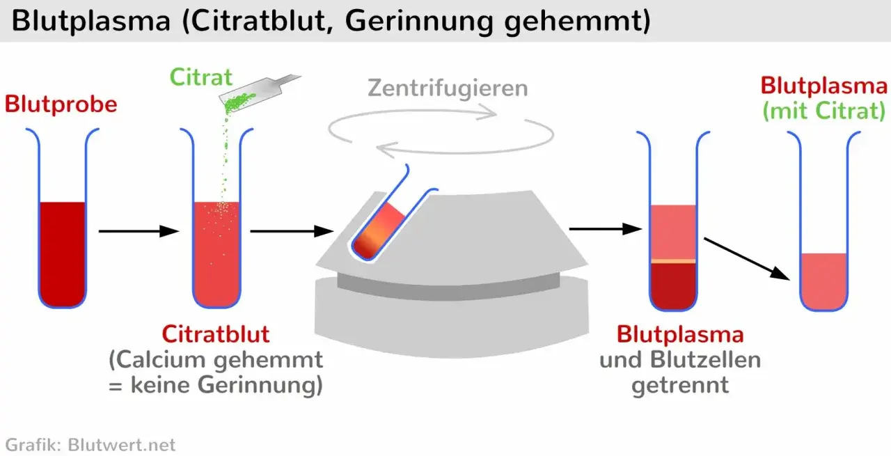 Blutprobe wird mit Citrat versetzt, zentrifugiert, um Blutplasma und Blutzellen zu trennen. Ein schneller Wert für die Analyse.