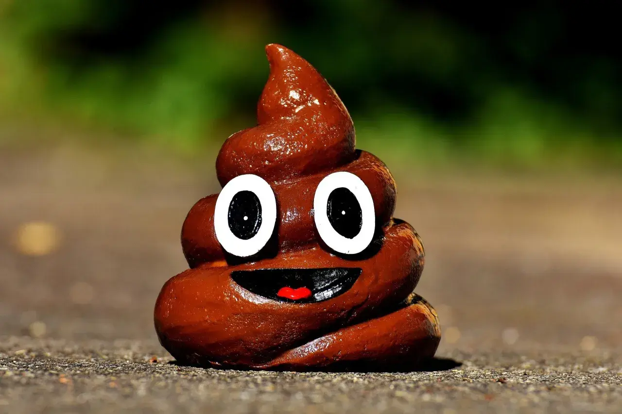 Uśmiechnięty emoji kupy, przypominający wygląd kupy psa, z wielkimi oczami i otwartymi ustami.