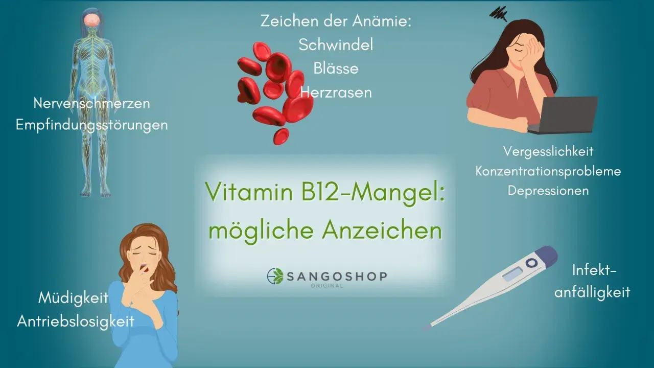 Vitamin B12-Mangel: Mögliche Anzeichen wie Müdigkeit, Nervenschmerzen, Vergesslichkeit und Infektanfälligkeit. Augen sind nicht direkt aufgeführt, aber Symptome können indirekt die Sehkraft beeinflussen.