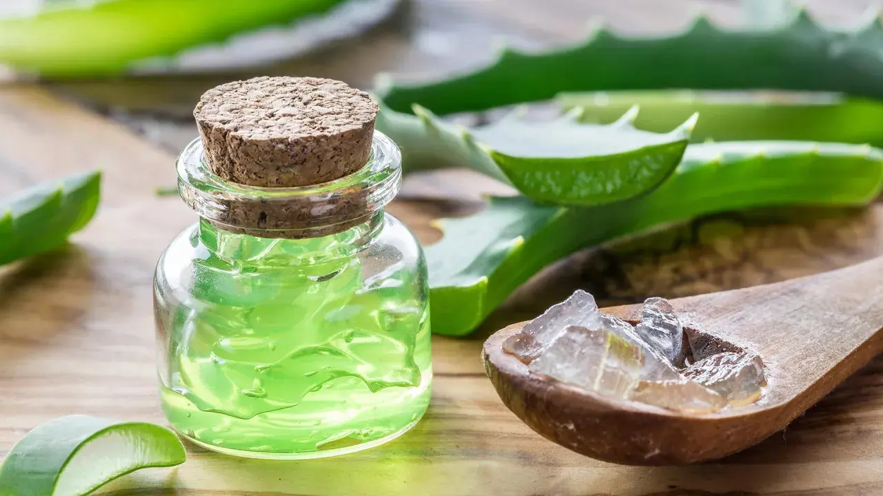 Ein Glas mit grünem Aloe Vera Gel und eine Holzschale mit Aloe Vera Stücken. Die vielseitige aloe vera verwendung für Haut und Gesundheit.