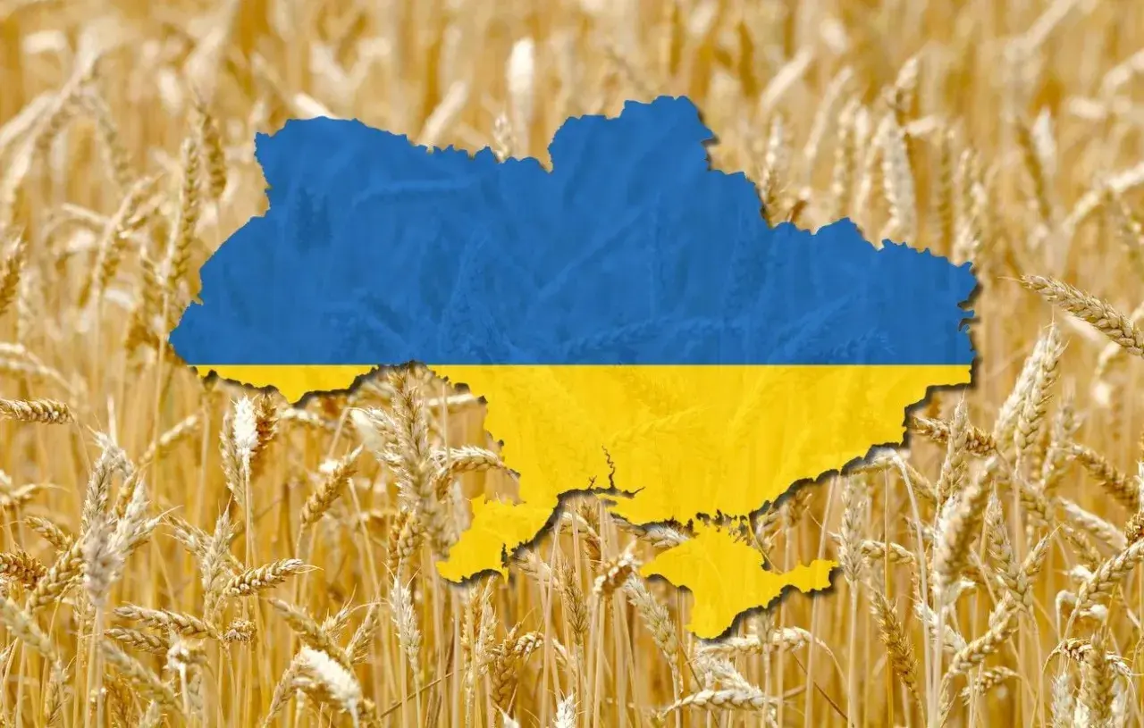 Carte de l'Ukraine aux couleurs du drapeau, superposée sur un champ de blé doré. L'image évoque la richesse agricole et la production de blé de l'Ukraine, un classement mondial important.
