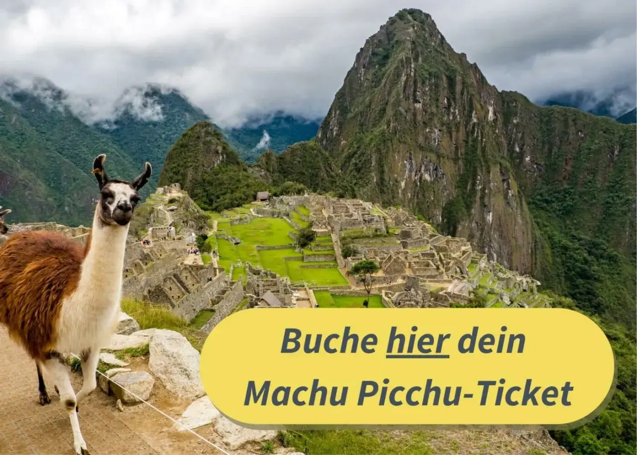 Ein Lama blickt neugierig in die Kamera, Machu Picchu im Sacred Valley, Peru, im Hintergrund. Buche hier dein Ticket!