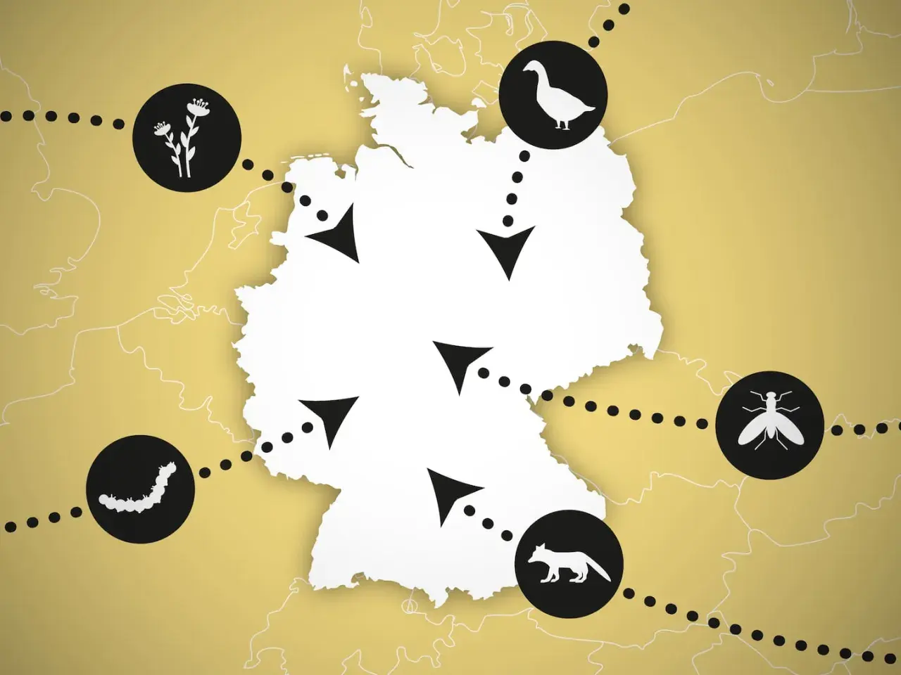 Karte von Deutschland mit Icons für Blumen, Gänse, Fliegen, Raupen und Füchse, die verschiedene Regionen der Provinz Deutschland verbinden.