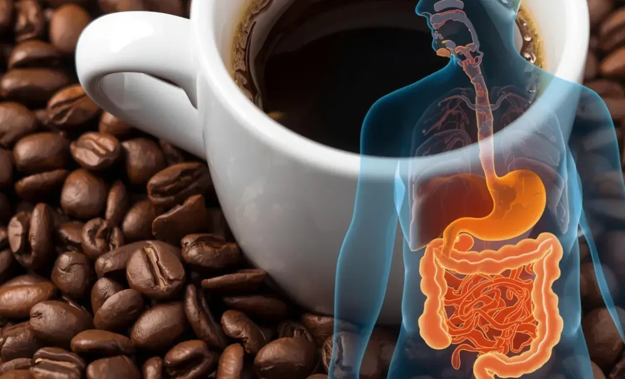 Kaffee und Verdauungstrakt. Die Frage welcher Kaffee ist magenschonend wird visuell thematisiert.