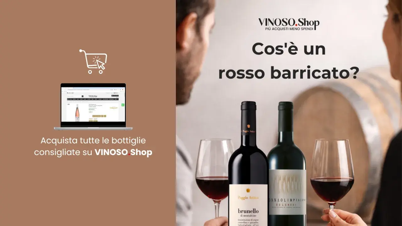 Scopri il significato di "barricato" con i vini rossi di VINOSO.Shop. Acquista online le migliori bottiglie consigliate.