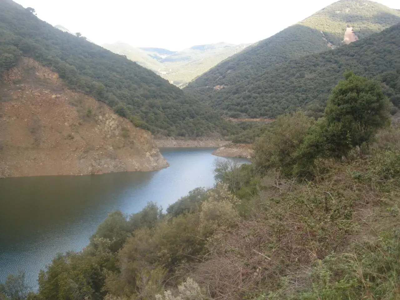 Embalse de Vallforners, un lago sereno rodeado de colinas verdes y rocosas, con vegetación densa en primer plano.