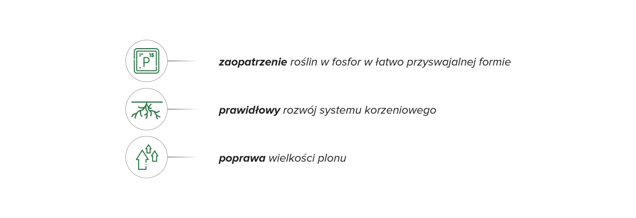 Fostar zapewnia roślinom fosfor, wspiera rozwój korzeni i poprawia wielkość plonu.