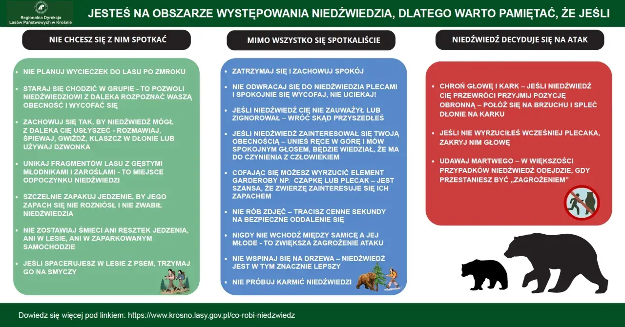 Piskliwy głos może zaalarmować niedźwiedzia. W lesie zachowaj się tak, by zwierzę cię usłyszało, mówiąc lub śpiewając.