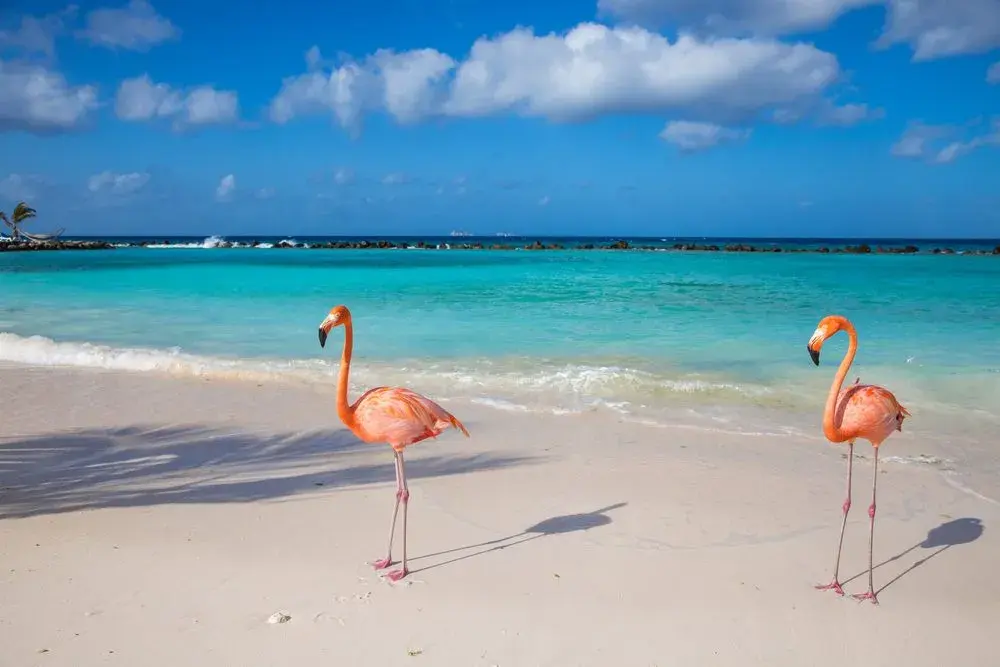 Aruba: Gdzie leży i dlaczego to idealne wakacje przez cały rok?