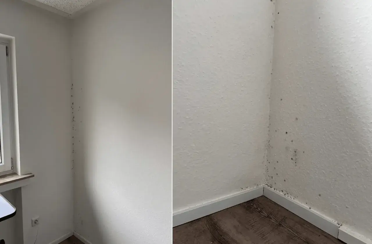 Schimmel in Ecken entfernen: Dunkle Flecken an der weißen Wand zeigen, wo der Schimmel wächst.