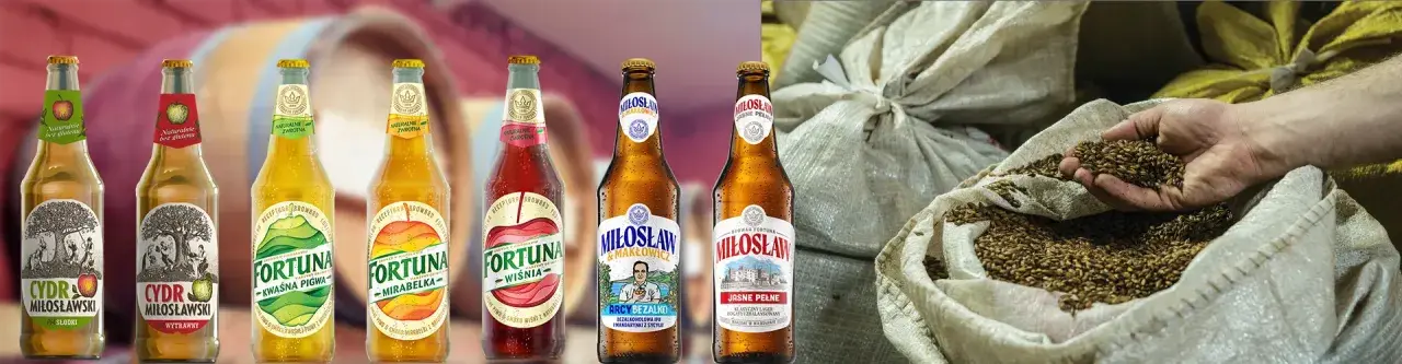 Gdzie kupić piwo Fortuna? Sprawdź najlepsze sklepy w okolicy