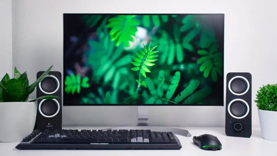 Jaki monitor dla grafika - wybierz idealny model dla swojej pracy