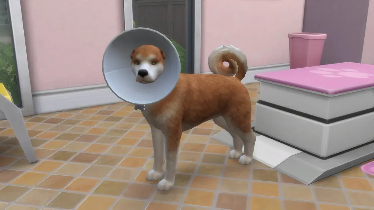Odbierz za darmo dodatek The Sims 4 ze zwierzętami domowymi