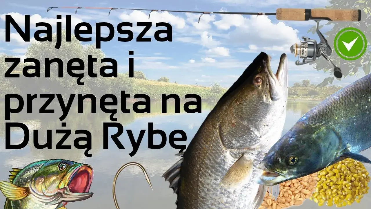Rozwiązania do krzyżówki: przynęta na ryby - znajdź idealne hasła