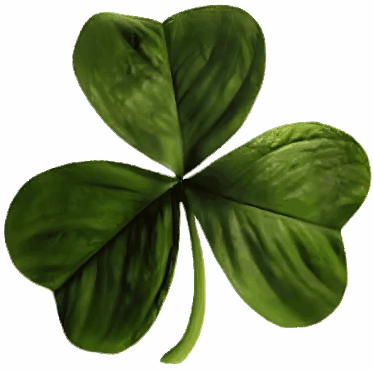 Szamrok jako symbol Irlandii: Historia, znaczenie i ciekawostki