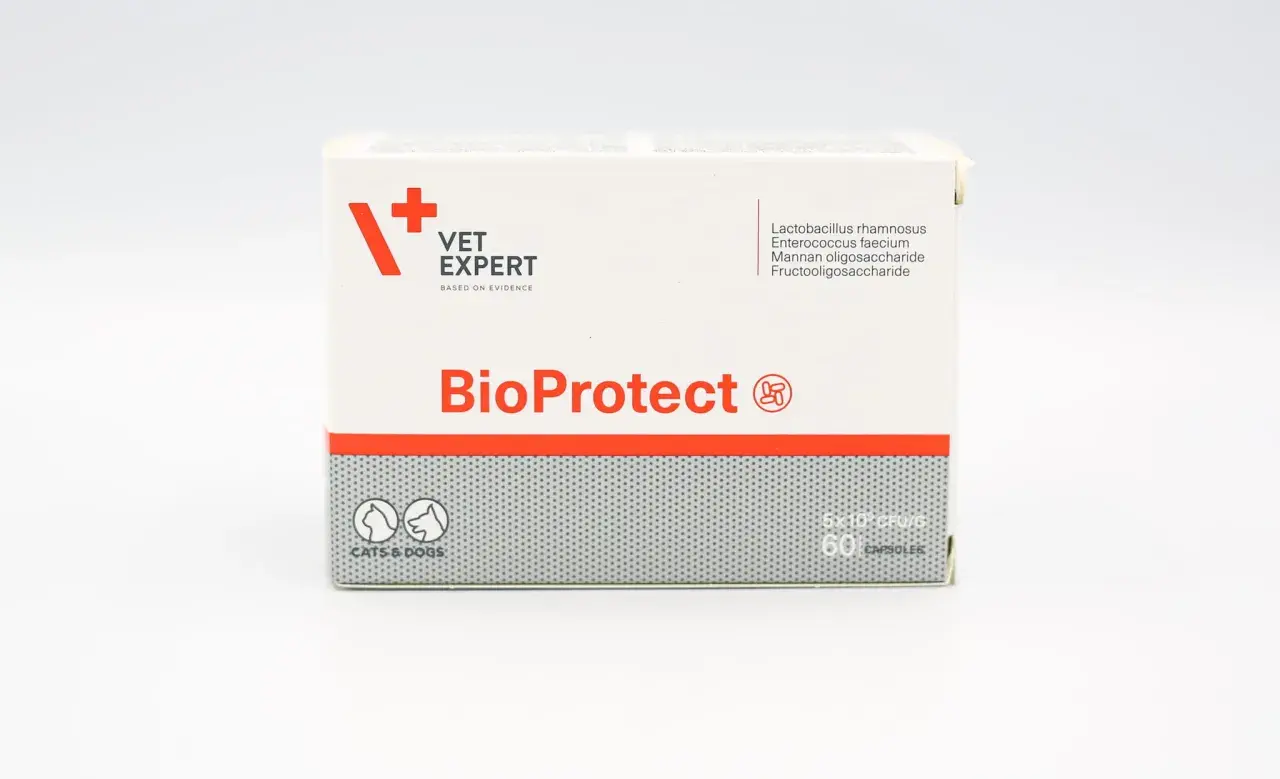 Bioprotect dla psa: skuteczne dawkowanie i zastosowanie probiotyku
