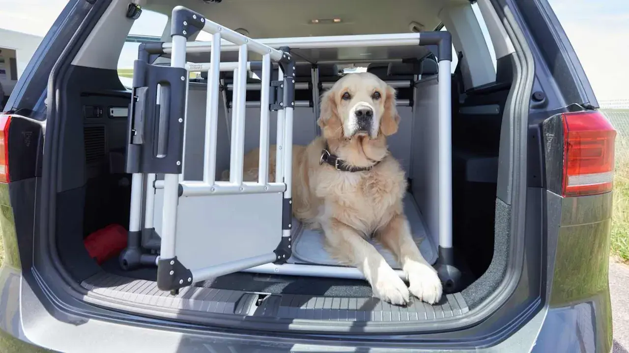 Sicherheitsgurt Hund ADAC: Schützen Sie Ihren Hund im Auto effektiv