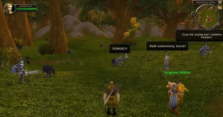 World of Warcraft spolszczenie: Jak grać w WoW po polsku?