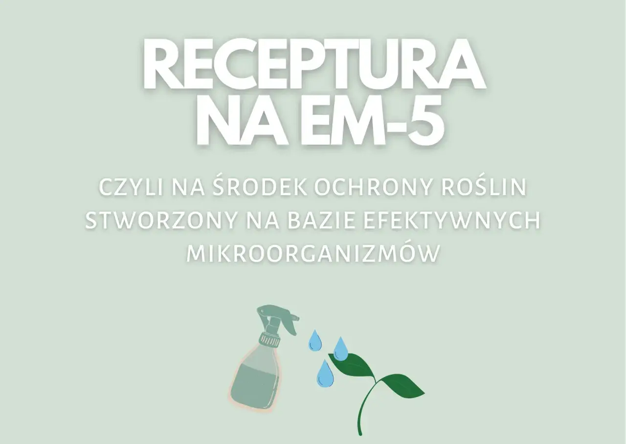 Jak samemu zrobić efektywne mikroorganizmy i poprawić plony w ogrodzie