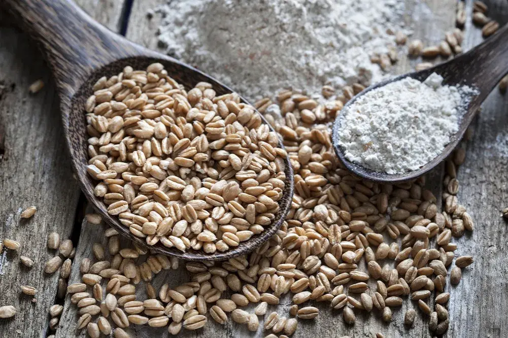 Z czego powstaje mąka orkiszowa: sekrety procesu produkcji krok po kroku