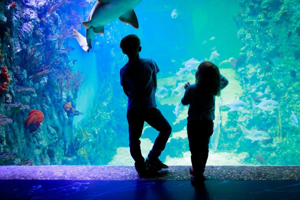 Kołobrzeg atrakcje dla dzieci: oceanarium pełne niespodzianek