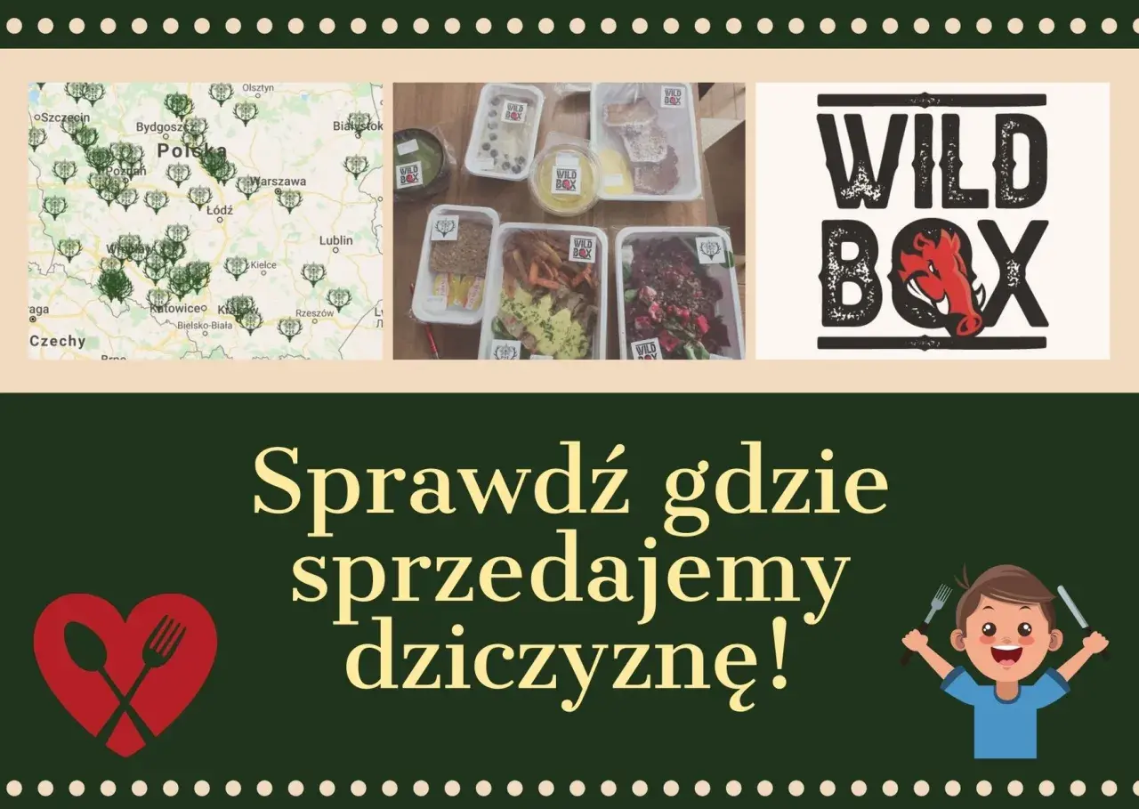 Gdzie można kupić dziczyznę? Sprawdź najlepsze źródła w Polsce