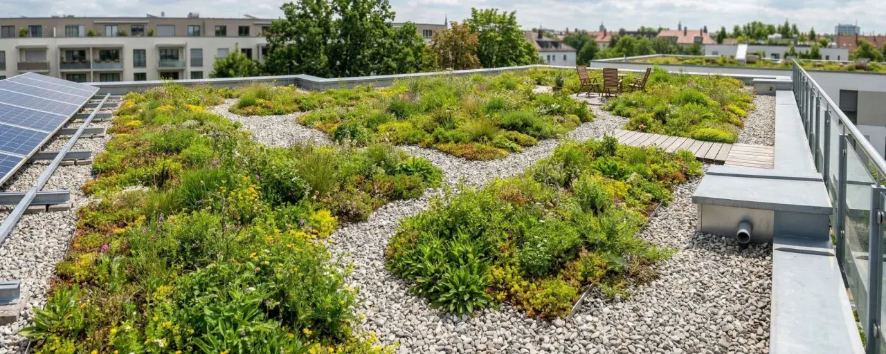 Grünes Paradies auf einem Flachdach mit vielen Pflanzen und Kiesflächen. Solarpaneele und Sitzgelegenheiten sind ebenfalls zu sehen.