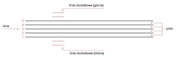 Jak pisać nuty: proste metody, które ułatwią tworzenie muzyki