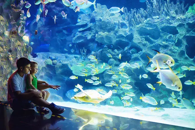 Oceanarium Kielce - Jak wykorzystać bon turystyczny i co zobaczyć?
