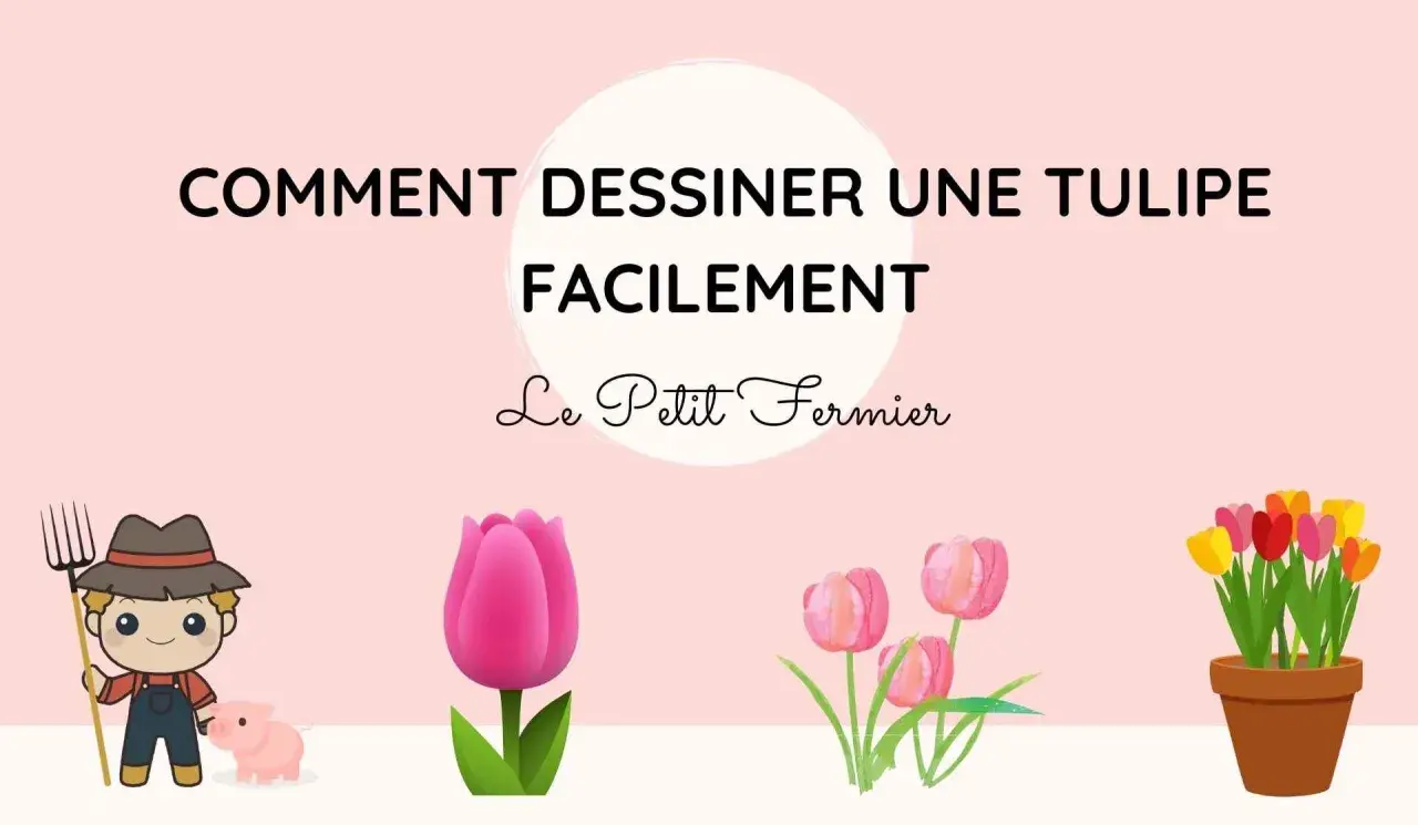 Un fermier et son cochon observent un dessin de tulipe. Le titre indique "Comment dessiner une tulipe facilement".