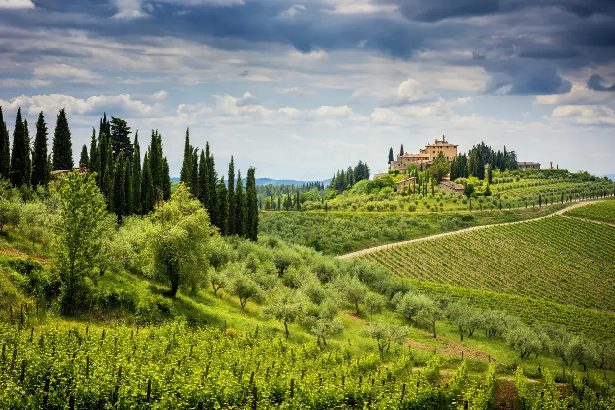 Colline verdi della **chianti zona** con vigneti, ulivi e un casale in cima.