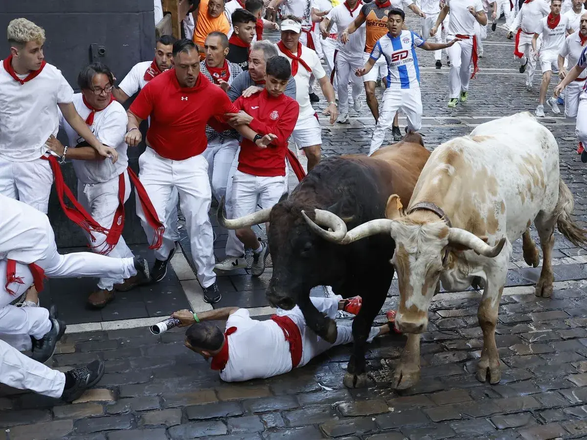 Hombres vestidos de blanco corren junto a toros de la ganadería Gregorio Garzón. Uno cae al suelo.