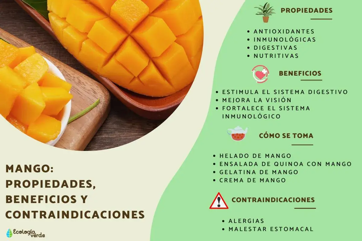 Mango: propiedades antioxidantes, inmunológicas y digestivas. Beneficios para la visión y el sistema inmune.