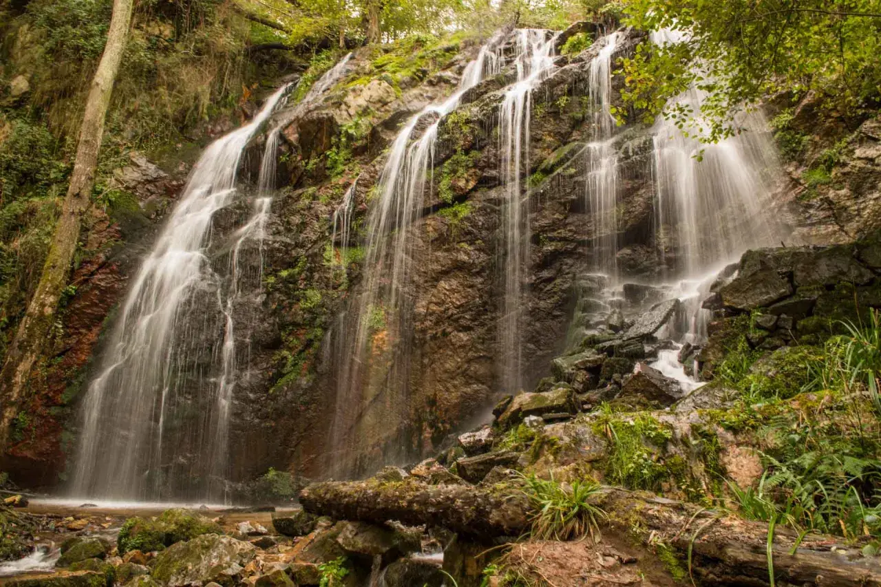 La cascada de Guanga desciende por rocas cubiertas de musgo, creando un velo de agua entre la vegetación exuberante.