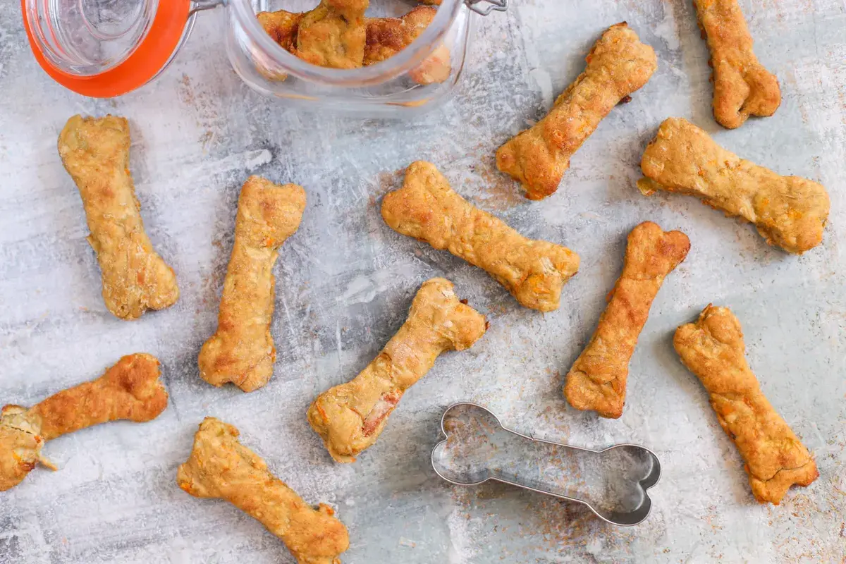 Galletas caseras para perros con forma de hueso, perfectas para aprender como hacer galletas para perros.