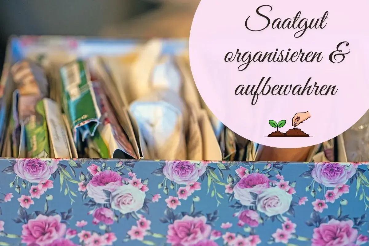 Blumige Box mit Saatgutpäckchen, perfekt zum **samen aufbewahren** und organisieren für die nächste Gartensaison.