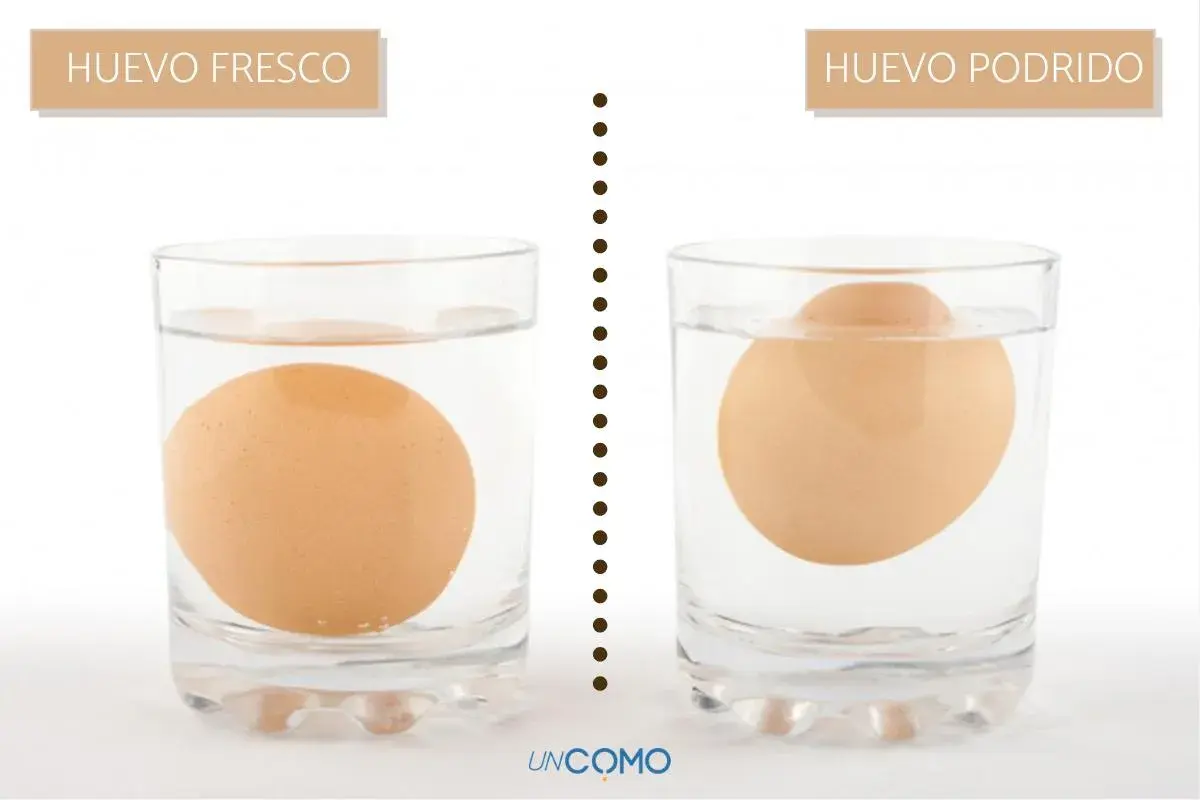 Un huevo fresco se hunde, uno podrido flota. Aprende como saber si un huevo esta bueno con este sencillo truco.