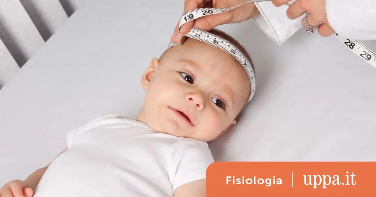 Misurazione della circonferenza cranica di un neonato, utile per la tabella peso altezza età bambini.