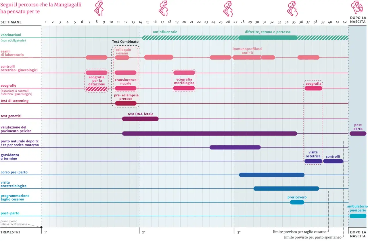 Il calendario gravidanza mostra le tappe fondamentali, dagli esami alle ecografie, fino al parto.