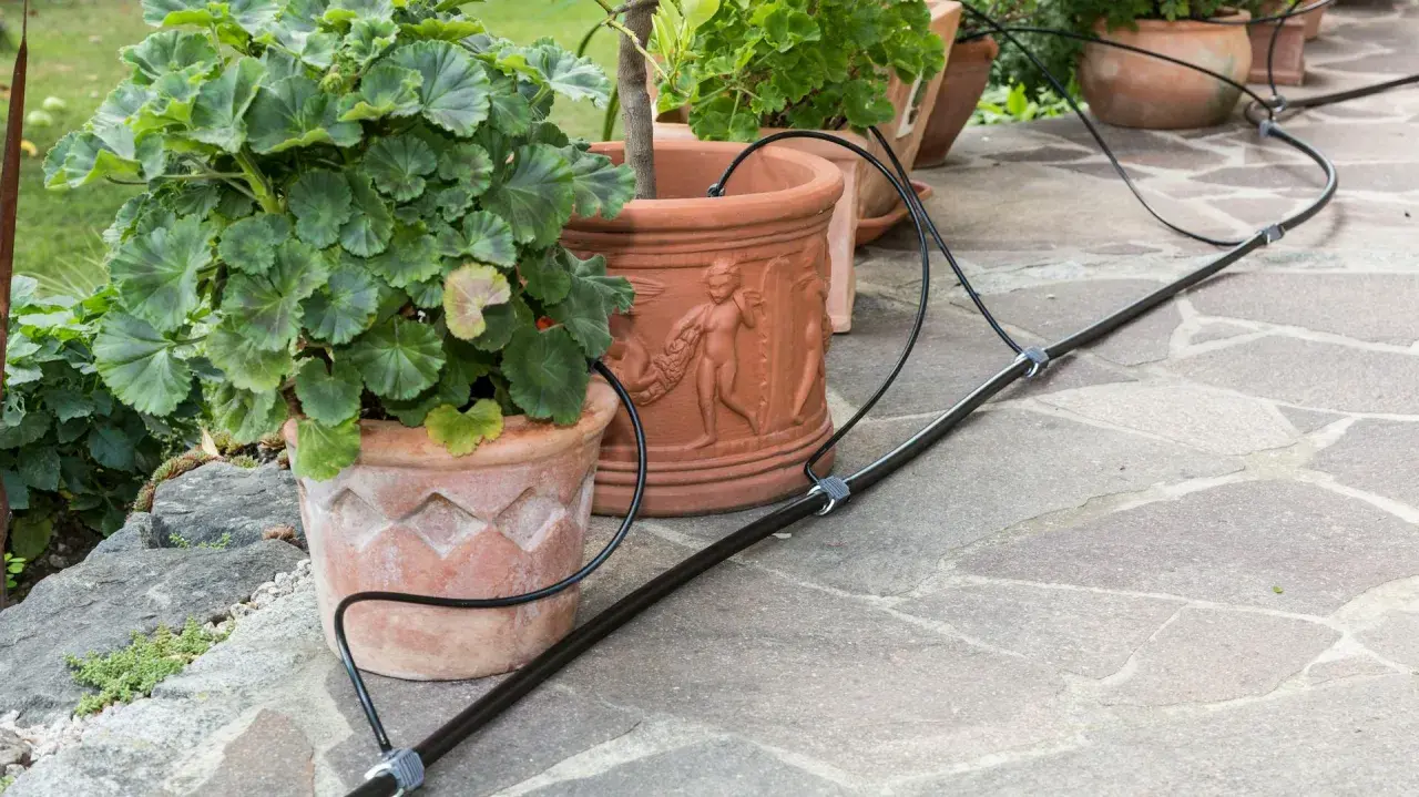 Pflanzen in Terrakotta-Töpfen werden von einem Bewässerungssystem versorgt. Ein schwarzer Schlauch schlängelt sich über die Steinplatten und versorgt die grünen Geranien.