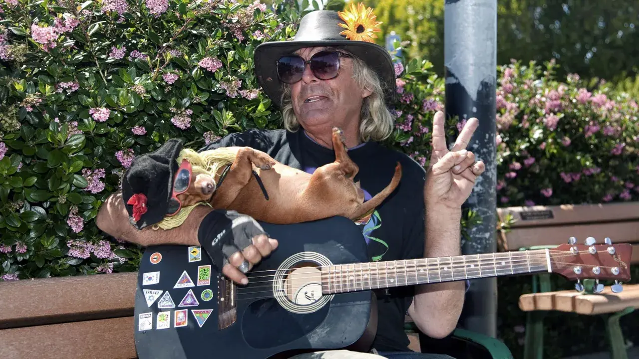 Mann mit Gitarre und Hund, ein Symbol der Hippie-Kultur. Friedenszeichen und Blumen schmücken den friedlichen Moment.