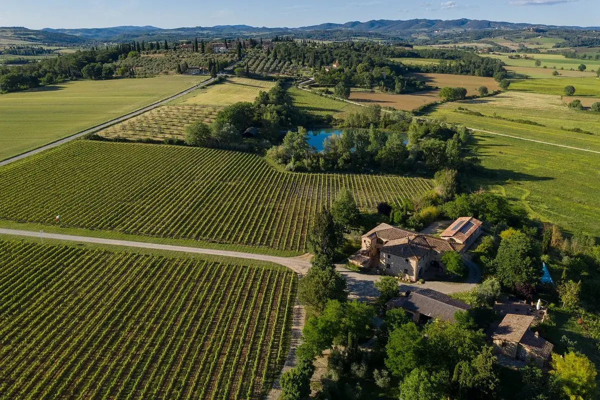 Vigneti rigogliosi e campi verdi circondano la fattoria Carpineta Fontalpino, con un laghetto azzurro e case in pietra sotto un cielo limpido.