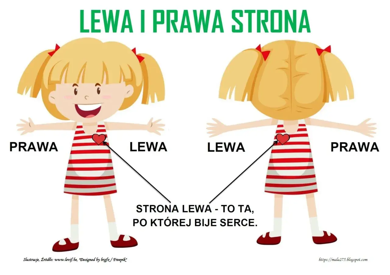Dziewczynka pokazuje lewą stronę, gdzie bije serce, i prawą. Obrazek wyjaśnia różnicę między lewą a prawą stroną.