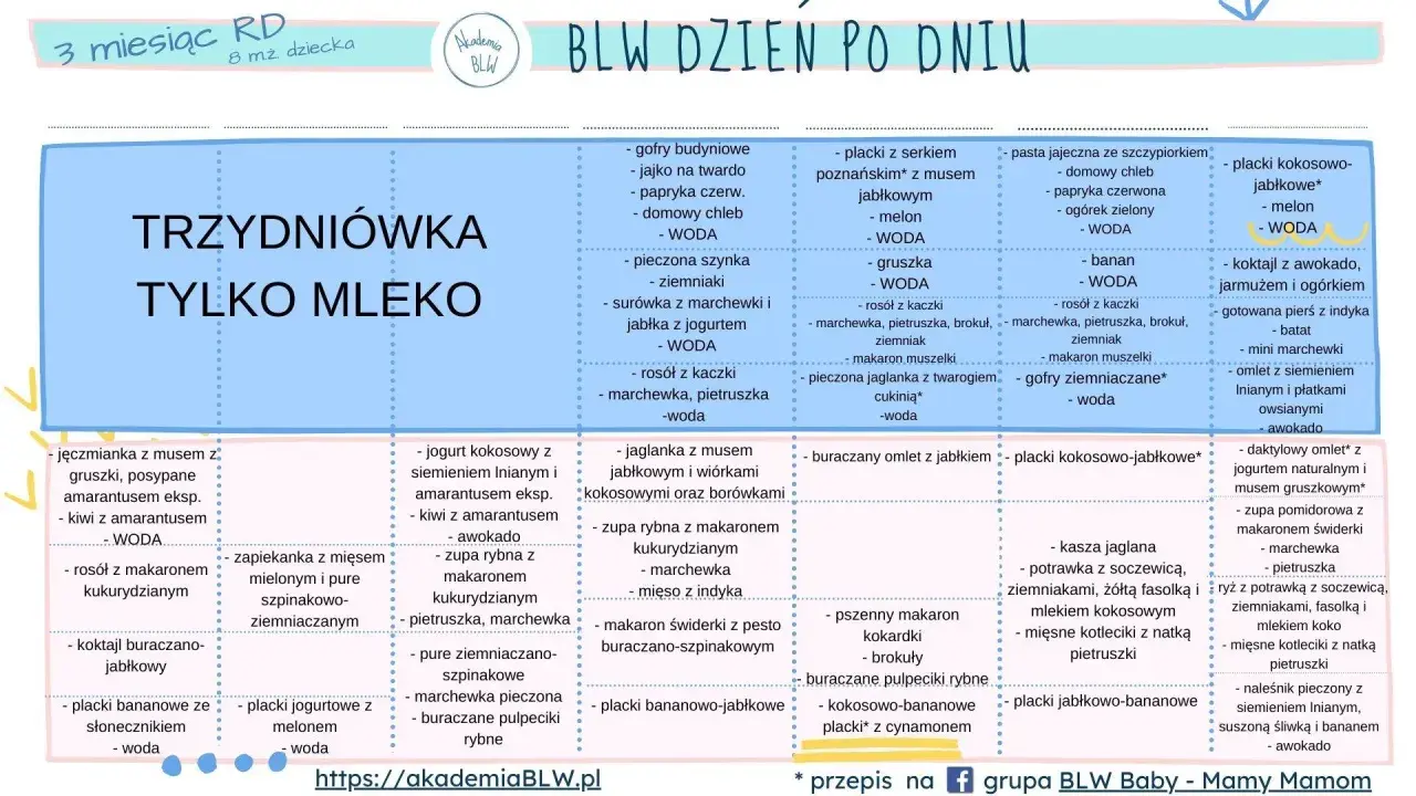 Co może jeść 8 miesięczne dziecko? Lista BLW: placki bananowe, zupa rybna, koktajl buraczano-jabłkowy, omlety, kasze.